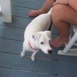 Deborah Byrd Photo 16