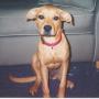 Steven Hodges Photo 48