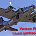 Mark Forman Photo 43
