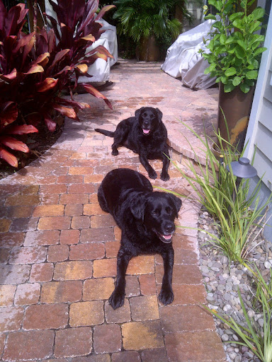 Debbie Earley Photo 27