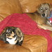 Elsa Baxter Photo 10
