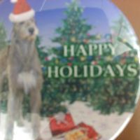 Debra Welch Photo 36