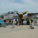 Jean Mitchell Photo 47