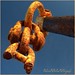 Edward Rust Photo 10