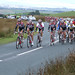 Andy Pedersen Photo 15