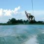 Steve Miller Photo 34