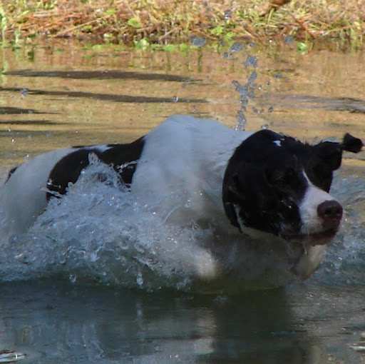 Kathy Conley Photo 41