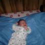 Martha Austin Photo 8