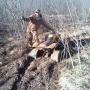 Levi Pruitt Photo 11