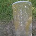 John Bagley Photo 32