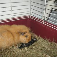 Mary Miley Photo 36