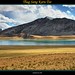 Sang Tran Photo 20