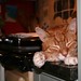 Linda Rayburn Photo 19