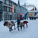 Nils Anders Photo 10