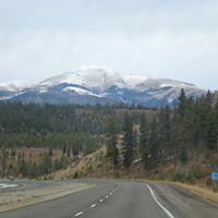 Connie Landers Photo 18