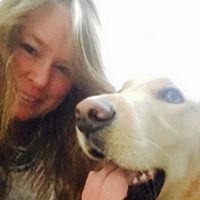 Michelle Stoddard Photo 40