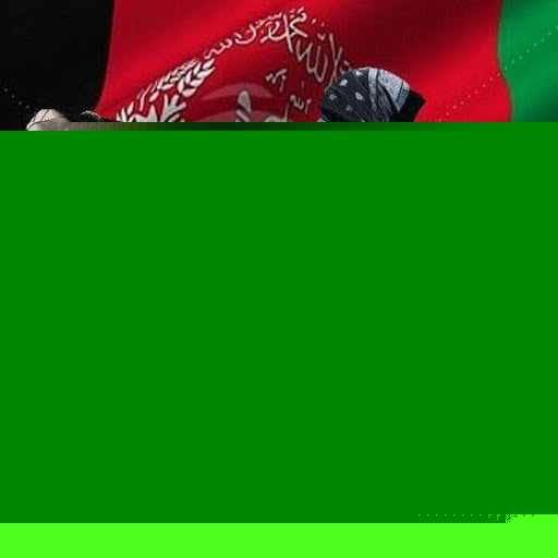 Ali Abedi Photo 36