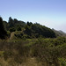 Tad Marshall Photo 5