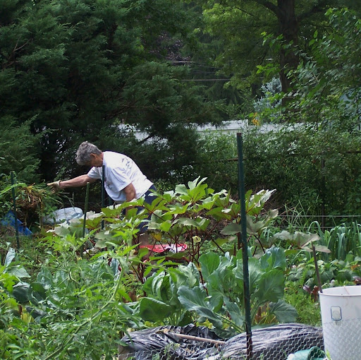 Patricia Rawls Photo 11