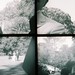 Elizabeth Jarrell Photo 19