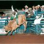 Clinton Lewis Photo 14
