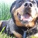 Nina Meadows Photo 15