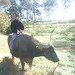 Trevor Stratton Photo 7