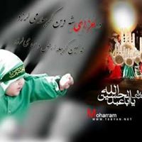 Syed Hussain Photo 47