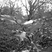 Holly Heath Photo 14