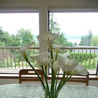 Jeanne Jacobs Photo 27