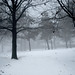 Paul Wolff Photo 41