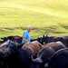 Jerry Farmer Photo 6