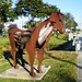 James Burnes Photo 37