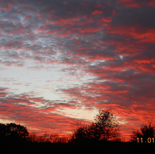 Candace Gibbs Photo 27