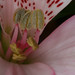 Janet Harper Photo 23