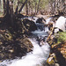 Patrick Myers Photo 40
