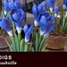 Julia Reed Photo 31