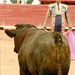 Rodrigo Hernandez Photo 18
