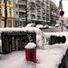Daniel Silvester Photo 8