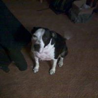Dale Lauer Photo 7