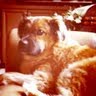 Sarah Ralston Photo 4