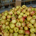 Donald Apple Photo 13