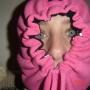 Katie Hurt Photo 19