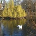 James Lake Photo 40