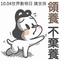 Amy Shen Photo 11