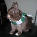 Jeanne Potter Photo 25
