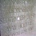 Ann Elmore Photo 24