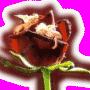 Oralia Rodriguez Photo 26