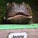Jenny Albert Photo 14