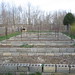 Melissa Norris Photo 16